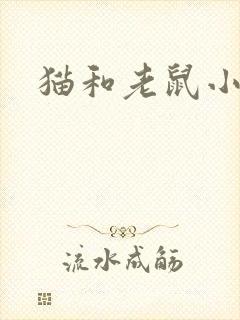 猫和老鼠小说