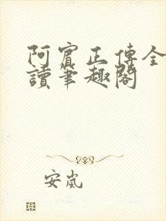 阿宾正传全文阅读笔趣阁