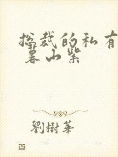 总裁的私有宝贝 暮山紫