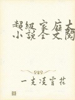 超级家庭大杂烩小说全文阅读