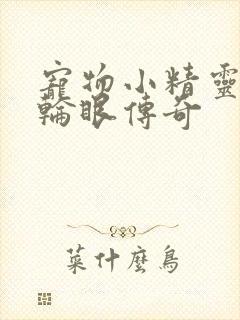 宠物小精灵之写轮眼传奇