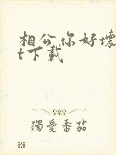 相公你好坏txt下载