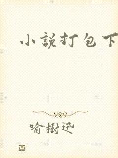 小说打包下载