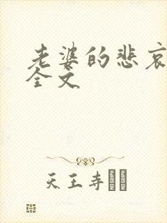 老婆的悲哀小说全文