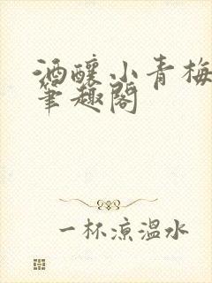 酒酿小青梅po笔趣阁