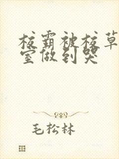 校霸被校草在教室做到哭