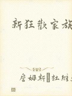 新狂欢家族小说