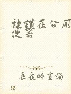 被锁在公厕当坐便器