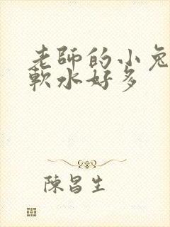 老师的小兔子好软水好多