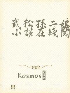 武松孙二娘云雨小说在线阅读