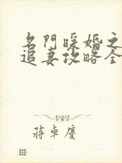 名门暖婚之权爷追妻攻略全文免费阅读