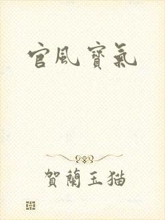 官风宝气