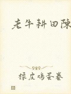老牛耕田陈雪