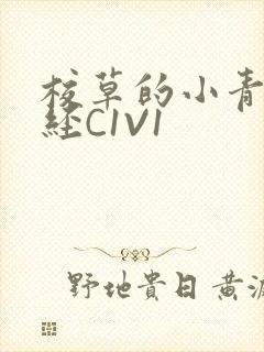 校草的小青梅不经C1V1