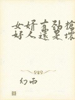 女婿有劲枪枪是好人还是坏人