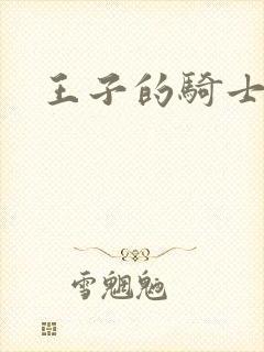 王子的骑士小说