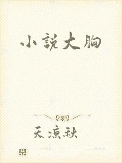 小说大胸