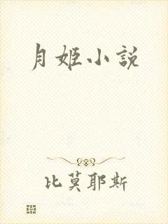 月姬小说