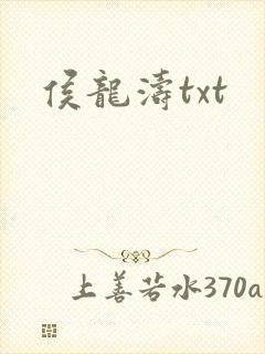 侯龙涛txt