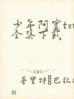 少年阿宾txt全集下载