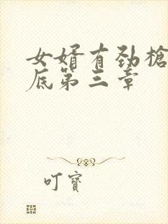 女婿有劲枪枪到底第三章