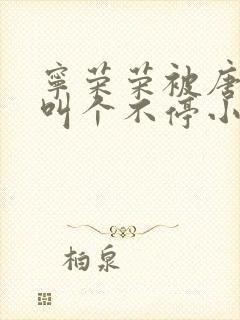 宁荣荣被唐三桶叫个不停小说