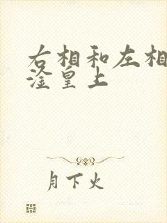 右相和左相一起淦皇上