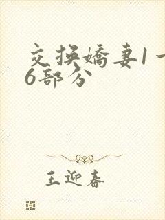 交换娇妻1一36部分