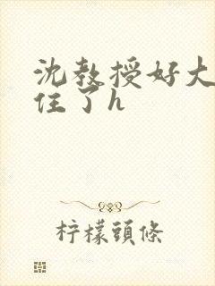 沈教授好大含不住了h