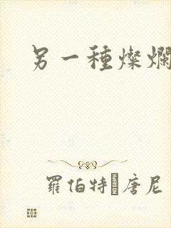 另一种灿烂生活