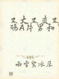 又大又爽又黄无码A片男和男