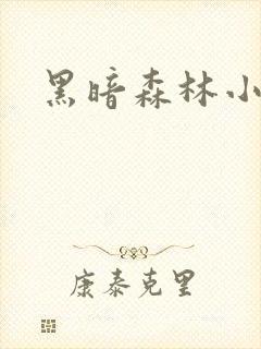黑暗森林小说