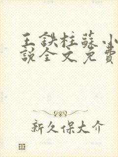 王铁柱苏小汐小说全文免费阅读最新章节