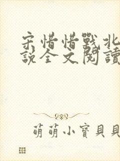 宋惜惜战北望小说全文阅读