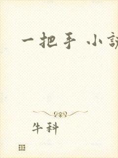 一把手 小说