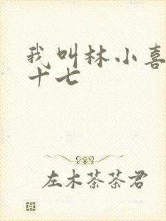 我叫林小喜今年十七