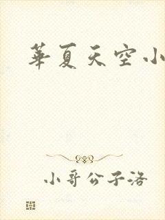 华夏天空小说网