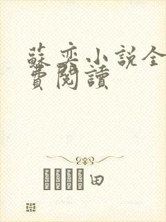 苏奕小说全文免费阅读