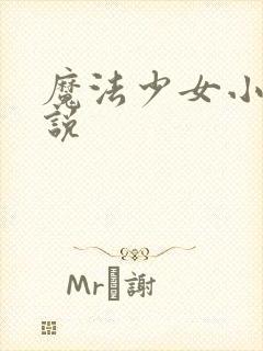 魔法少女小圆小说