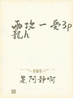 两攻一受3p双龙h