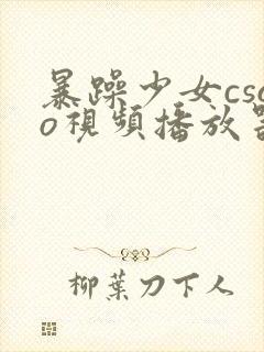 暴躁少女csgo视频播放器推荐