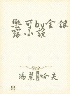 乐可by金银花露小说