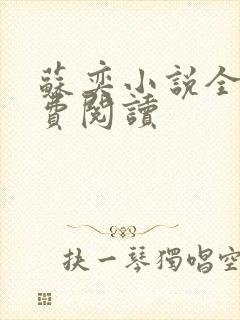 苏奕小说全文免费阅读