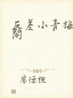 反差小青梅笔趣阁