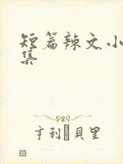 短篇辣文小说合集