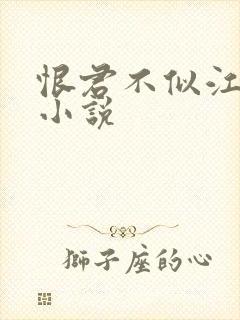 恨君不似江楼月小说