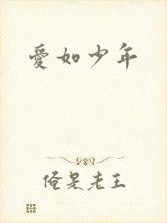 爱如少年