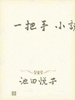 一把手 小说