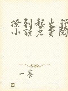 撩到起火舒漾的小说免费阅读全文