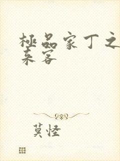 极品家丁之远方来客